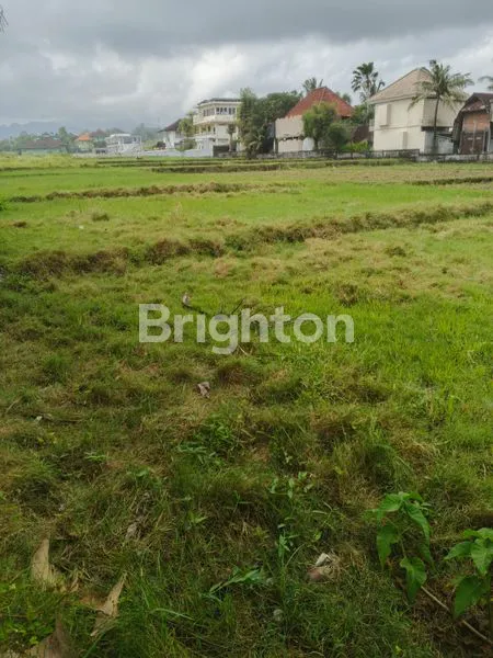 image FOR SALE LAND FRONT BEACH IN MEDEWI JEMBRANA BALI (6)