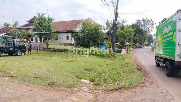 DIJUAL TANAH DI DESA CUPEL, KEC. NEGARA, KAB. JEMBRANA, BALI