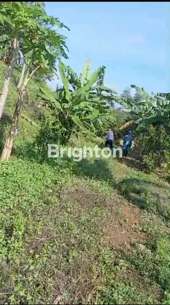 image DIJUAL TANAH PEKARANGAN  (1)