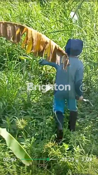 image DIJUAL TANAH PEKARANGAN  (2)