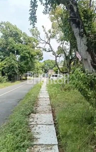 image DIJUAL TANAH TUBAN KOTA  (1)