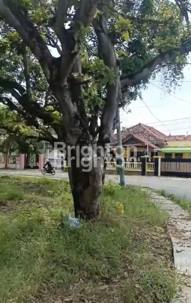 image DIJUAL TANAH TUBAN KOTA  (3)