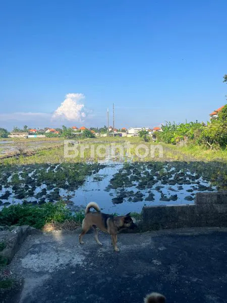 image TANAH DISEWAKAN DI SANUR (2)