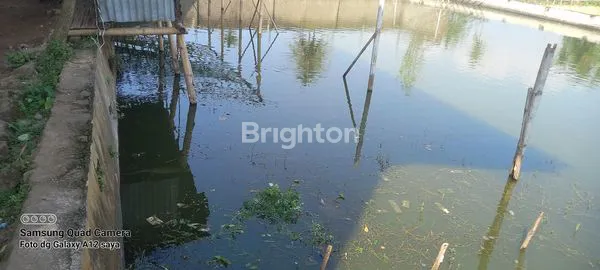 image RUGI.....NGGA BELI (8)