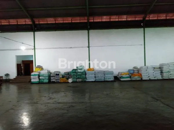 image DIJUAL CEPAT GUDANG LUAS DI TUBAN JAWA TIMUR (5)