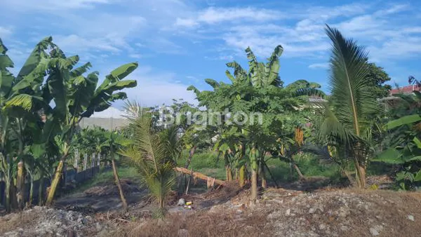 TANAH DIJUAL AREA JL. SOEKARNO HATTA