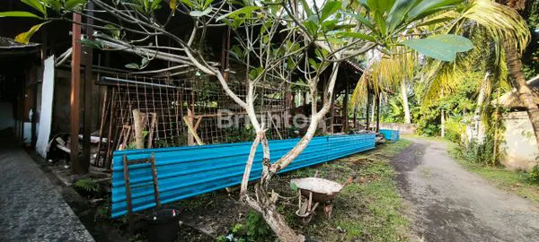 image DISEWAKAN TANAH SELUAS 820M2 BEACHFRONT CRISTAL BEACH KARANGASEM  (8)