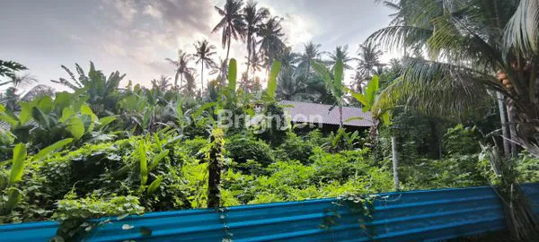 image DISEWAKAN TANAH SELUAS 820M2 BEACHFRONT CRISTAL BEACH KARANGASEM  (2)