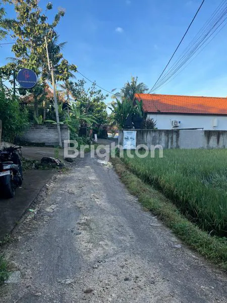 image LAND IN GENTONG 500 M², UBUD (3)