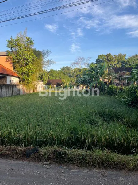 image LAND IN GENTONG 500 M², UBUD (2)