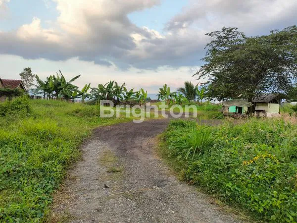 image  TANAH STRATEGIS 2.475M2 DI JALAN GANDASARI, CANGKUANG KABUPATEN BANDUNG HARGA TERJANGKAU (1)