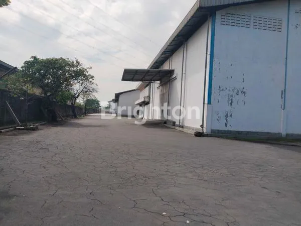 image GUDANG GEMPOL APOLO PASURUAN (6)