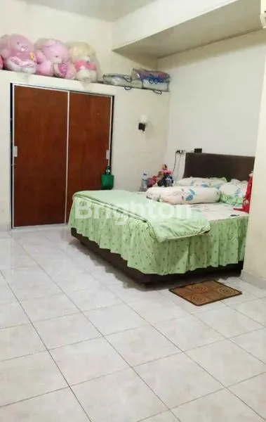 image RUMAH ISTIMEWA DI DAERAH BUNG TOMO (3)