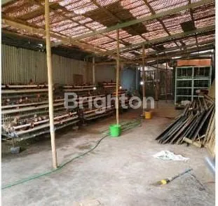 image TANAH GUDANG KOLAM DI PLELEN KADIPIRO (1)