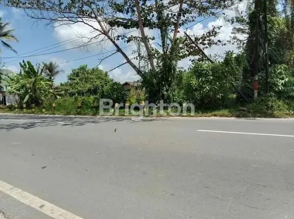 image TANAH SELUAS 3975 M² DIPINGGIR JALAN RAYA (7)