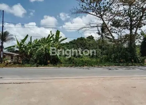 image TANAH SELUAS 3975 M² DIPINGGIR JALAN RAYA (5)