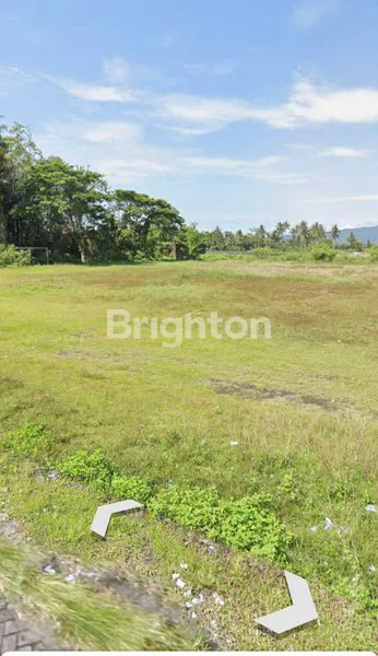 image TANAH DARAT SIAP BANGUN  PERUMAHAN  DEKAT CANDI BOROBUDUR DI MAGELANG (3)