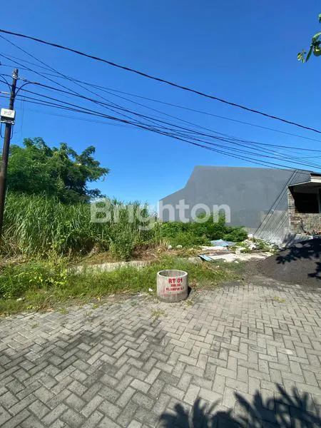 TERMURAH KLAMPIS DEKAT MANYAR WISMA MUKTI MERR GALAXY MALL KERTAJAYA UNAIR SEMOLOWARU NGINDEN NGAGEL BRATANG PUCANG ANOM