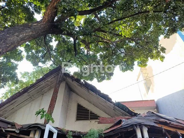image RUMAH TUA HITUNG TANAH UNTUK RENOVASI TOTAL UNTUK HUNIAN MEWAH, KOS-KOSAN, TEMPAT USAHA, STRATEGIS DI KEMANGGISAN JAKARTA BARAT (3)
