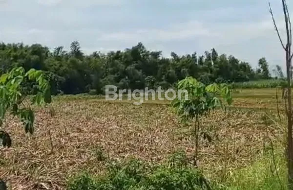 image DIJUAL TANAH SELUAS 1,1 HA LOKASI ZONA INDUSTRI JETIS, MOJOKERTO (3)