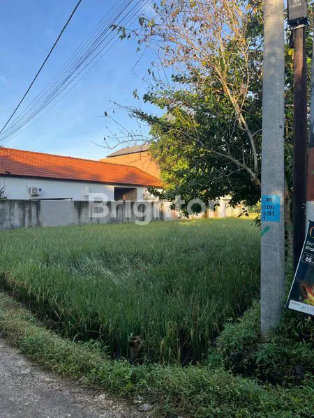 image LAND IN GENTONG 500 M², UBUD (5)