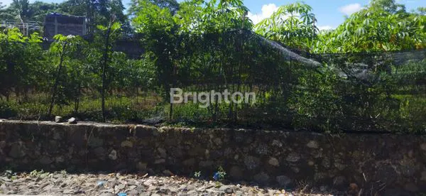 image TANAH STRATEGIS 550 M² — INVESTASI CERDAS DEKAT WISATA PANTAI RANCABUAYA! (1)