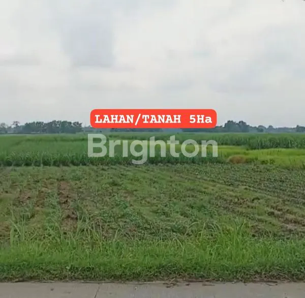 image DI JUAL TANAH LUAS 5HA, LOKASI ZONA INDUSTRI JETIS (3)