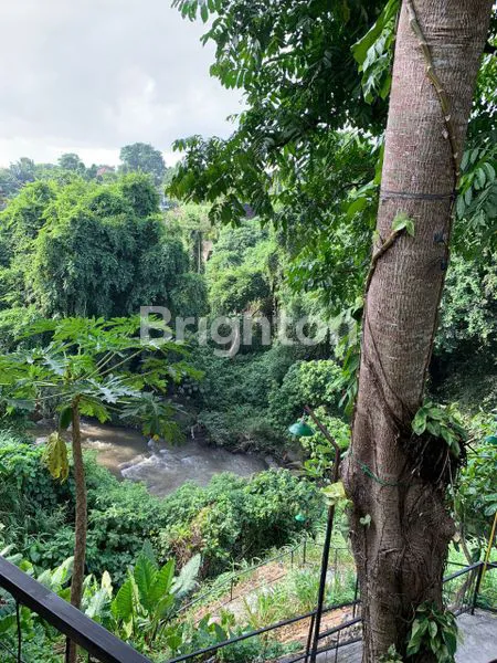 image RUMAH MAKAN STRATEGIS DI JALAN NOJA DENPASAR UTARA (7)