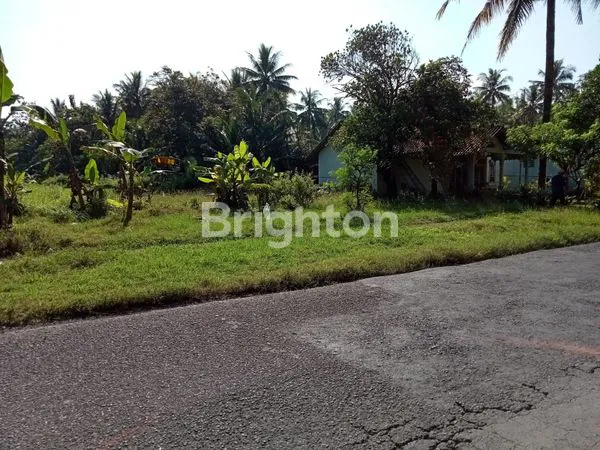 Disewakan Tanah Strategis Dekat Bandara YIA