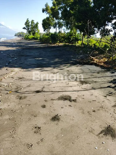 TANAH DIJUAL LOSS PANTAI DI SUMBERSARI DEKAT GILIMANUK JEMBRANA