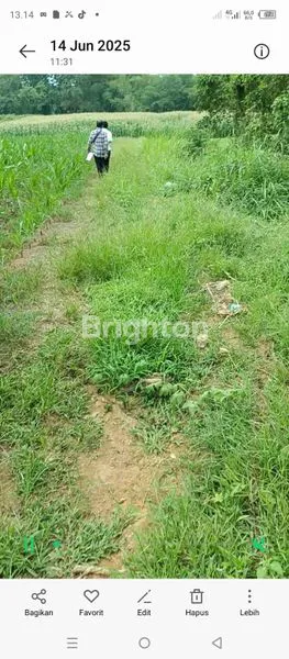 image DIJUAL TANAH LUAS 5099 M2 POSISI JALAN BUNGA PARIAMA II MEDAN TUNTUNGAN (3)