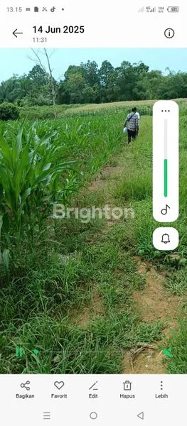 image DIJUAL TANAH LUAS 5099 M2 POSISI JALAN BUNGA PARIAMA II MEDAN TUNTUNGAN (1)