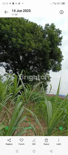 image DIJUAL TANAH LUAS 5099 M2 POSISI JALAN BUNGA PARIAMA II MEDAN TUNTUNGAN (5)