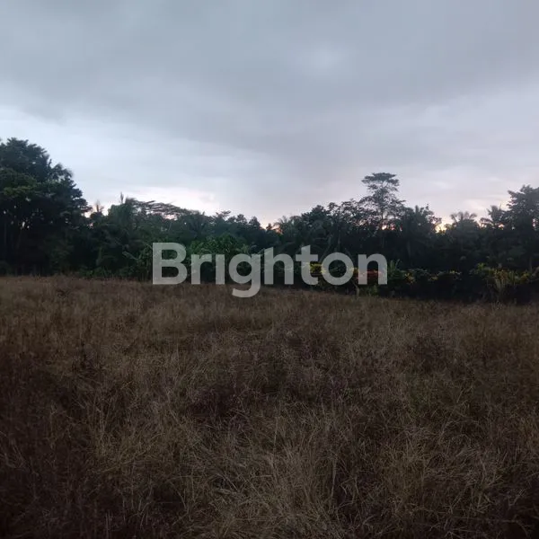 image TANAH PREMIUM KEDUNGU 355M² BELALANG TABANAN (4)