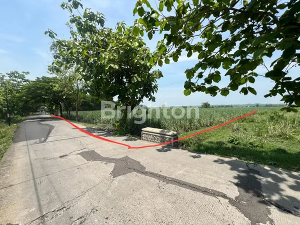 image TANAH INDUSTRI JALAN MOJOWATESREJO MOJOKERTO (1)