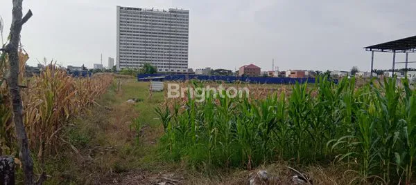 image TANAH DIJUAL (3)