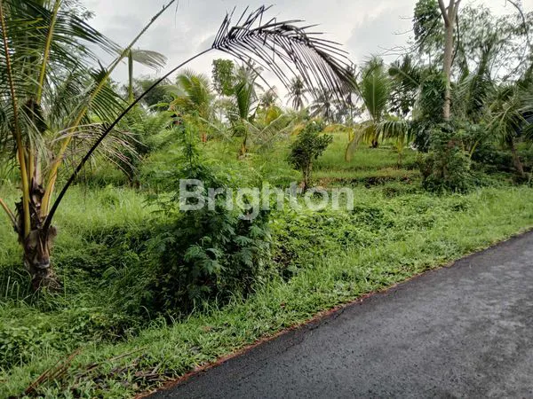 image JUAL LAHAN STRATEGIS POTENSIAL UNTUK INVESTASI DAN USAHA LUAS 18,5 ARE DI BATUAJI KERAMBITAN TABANAN BALI (3)