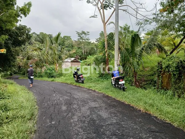 image JUAL LAHAN STRATEGIS POTENSIAL UNTUK INVESTASI DAN USAHA LUAS 18,5 ARE DI BATUAJI KERAMBITAN TABANAN BALI (2)