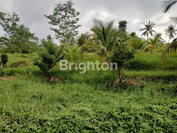 image JUAL LAHAN STRATEGIS POTENSIAL UNTUK INVESTASI DAN USAHA LUAS 18,5 ARE DI BATUAJI KERAMBITAN TABANAN BALI (4)