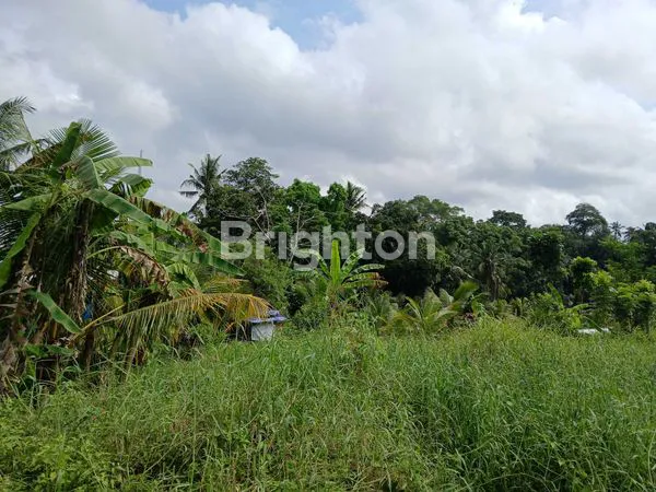 image JUAL LAHAN STRATEGIS POTENSIAL UNTUK INVESTASI DAN USAHA LUAS 18,5 ARE DI BATUAJI KERAMBITAN TABANAN BALI (6)