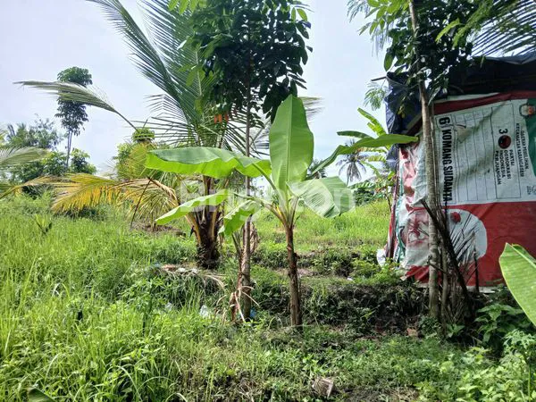 image JUAL LAHAN STRATEGIS POTENSIAL UNTUK INVESTASI DAN USAHA LUAS 18,5 ARE DI BATUAJI KERAMBITAN TABANAN BALI (7)