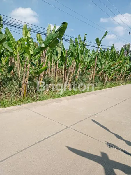 image LAHAN DATAR DI DESA TEGAL, BOGOR (2)