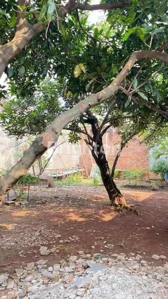 DIJUAL CEPAT TANAH 140M DI KAMPUNG RAWA SAPI TAMBUN SELATAN BEKASI