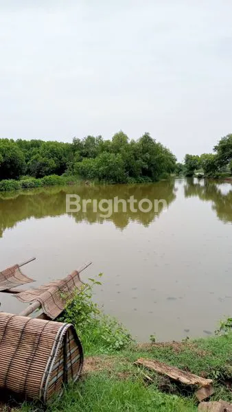 image DIJUAL CEPAT TAMBAK PASURUAN (3)