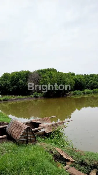 image DIJUAL CEPAT TAMBAK PASURUAN (2)