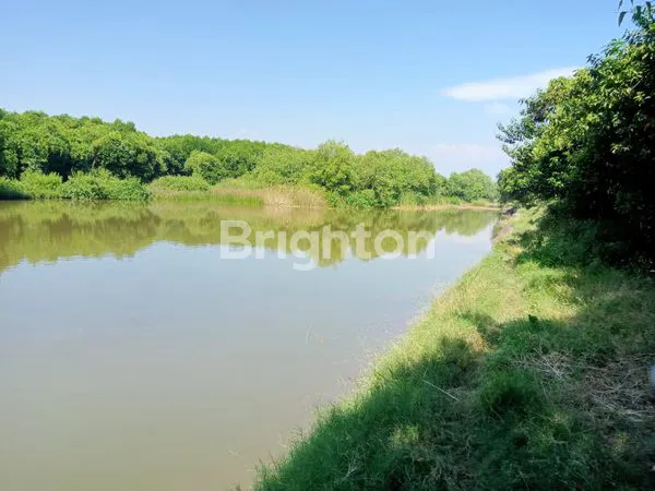 image DIJUAL CEPAT TAMBAK PASURUAN (1)