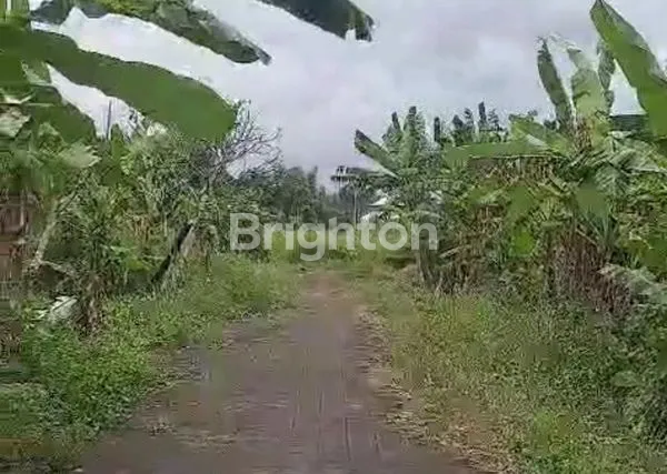 image TANAH DI GIANYAR (1)