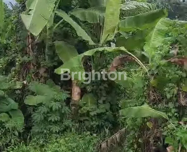 image TANAH DI GIANYAR (2)