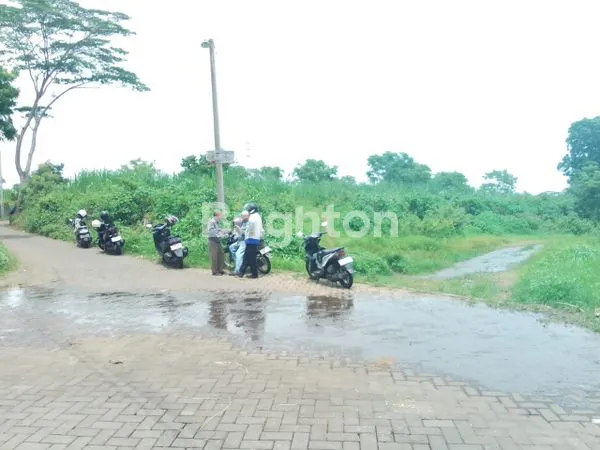 image DIJUAL CEPAT TANAH PASURUAN (6)