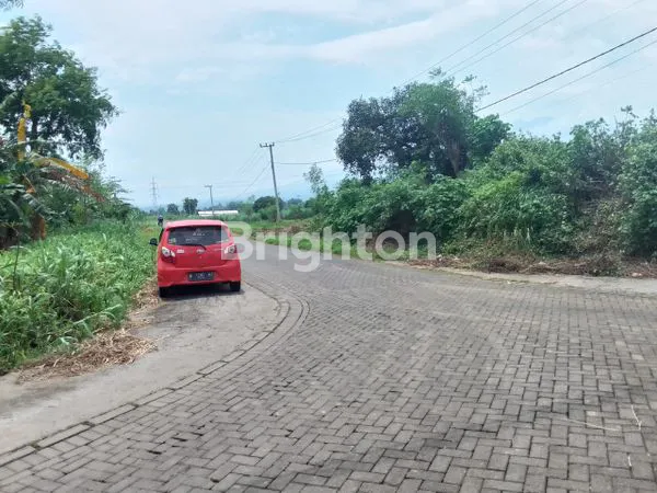 image DIJUAL CEPAT TANAH PASURUAN (7)